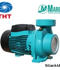 Hình ảnh: Máy bơm MARO  bơm cấp nước giá rẻ cho gia đình