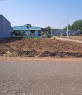 Hình ảnh: Bố tôi cần bán nền đất 145m2 330tr sổ hồng riêng, Đồng Phú, Bình Phước.
