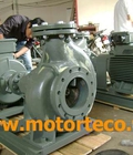 Hình ảnh: Máy bơm nước Teco rời trục 132kw Teco Xuong Minh