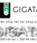Hình ảnh: Phân Phối Toàn Quốc Máy chấm công Vân Tay Thẻ Cảm Ứng Gigata T8