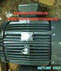Hình ảnh: Động cơ motor teco aesv1s 4p 40hp Teco Xuong Minh