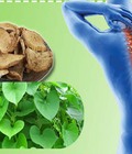 Hình ảnh: Dây đau xương Trị đau xương khớp hiệu quả