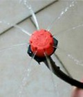 Hình ảnh: Hệ thống tưới nhỏ giọt Azud, tưới nhỏ giọt Tây Ban Nha