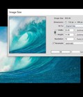 Hình ảnh: Thay Đổi Kích Thước Ảnh Trong Photoshop Ai