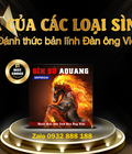 Hình ảnh: 1 nháy là say đắm, 2 nháy là ngất ngây cùng với Sìn Sú AQuang