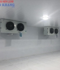 Hình ảnh: 0947459479 Lắp đặt kho lạnh bảo quản hoa tươi tại Đà Lạt