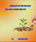 Hình ảnh: Tư vấn Tài chính Cá nhân Hỗ trợ khoản vay Tư Nhân