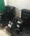Hình ảnh: 0911219479 mua ngay cụm máy nén Kulthorn 4 hp AW5542E 9 giá hấp dẫn