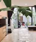 Hình ảnh: Cho thuê nhà đẹp gần đường Nguyễn Văn Thoại Giá 15 Triệu
