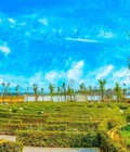 Hình ảnh: Bán dự án đất nền Gem Skyworld giai đoạn 2 giá chỉ 22tr/m2