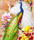 Hình ảnh: Tranh chim công phong thuỷ 3D ốp tường