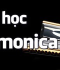 Hình ảnh: Dạy học kèn Harmonica Số 1 Hà Nội về chất lượng dạy