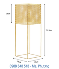 Hình ảnh: Kệ sắt trang trí hộp lỗ vàng đồng trang trí sang trọng