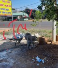 Hình ảnh: Bán đất ngay QL13 huyện Bù Đốp, tỉnh Bình Phước. SHR, chỉ từ 135tr/m. Lh: 0967444764