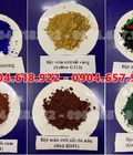 Hình ảnh: Bán bột màu giá rẻ toàn quốc