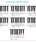 Hình ảnh: 4 Kiến Thức Học Nhạc Lý Piano Cơ Bản