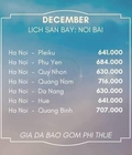 Hình ảnh: Cập Nhật Bảng giá lịch bay các sân bay Hanoi, HCM đi các tỉnh thành và chiều ngược lại