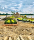 Hình ảnh: Bán đất nền dự án giá gốc chủ đầu tư liền kề công viên 7 kì quan 120m2 TT 850 triệu