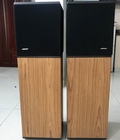 Hình ảnh: Loa Bose 10.2