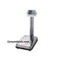 Hình ảnh: Cân đếm điện tử AC Cas, mức cân 25kg,50kg,100kg Cas, cân An Thịnh