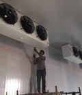 Hình ảnh: Thi công, lắp đặt kho lạnh bảo quản kem tại TP.HCM 0947459479