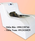 Hình ảnh: Giới thiệu máy bọc giày tự động cao cấp, giá rẻ nhất, bảo hành 12T