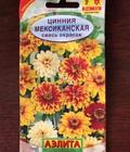 Hình ảnh: Hạt giống hoa cúc lá nhám cầu vồng nhập khẩu Nga