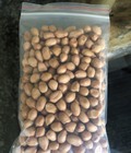 Hình ảnh: Chuyên cung cấp đậu phộng Ấn các loại