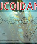 Hình ảnh: Fucoidan Nhật Bản sao lại được tin dùng nhất