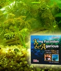 Hình ảnh: Giá thuốc fucoidan Nhật Bản bao nhiêu