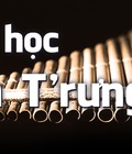 Hình ảnh: Dạy học đàn T rưng Gia sư tại nhà