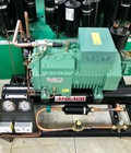 Hình ảnh: Cung cấp cụm máy nén dàn ngưng Bitzer 9hp 4TES 9Y uy tín, chất lượng