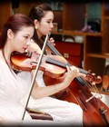 Hình ảnh: Loại nhạc cụ hiện đại khó học nhất Đó là Violin