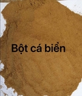 Hình ảnh: Bột cá biển