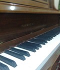 Hình ảnh: Học đàn Piano hay học đàn Guitar, hay học đàn Organ