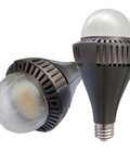 Hình ảnh: Đèn Led bulb FR BW80W