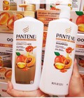 Hình ảnh: Dầu gội dầu xả Pantene 5 in 1 của MỸ