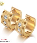 Hình ảnh: Bông tai titan khoen viền phun cát đính đá 1340
