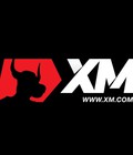 Hình ảnh: Giấy phép hoạt động của sàn XM