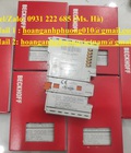 Hình ảnh: Module EL2008 Beckhoff Công Ty Hoàng Anh Phương