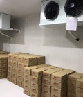 Hình ảnh: Di dời, tháo lắp kho lạnh trữ kem phân phối cho đại lý tại TP.HCM