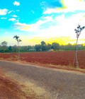 Hình ảnh: Bán đất sổ đỏ 300m2 10x30 Huyện Chư Sê, Gia Lai