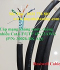 Hình ảnh: Cáp mạng Cat6 chống nước