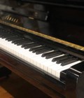 Hình ảnh: Người lớn tuổi học piano cần lưu ý những gì
