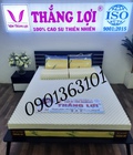 Hình ảnh: Nệm cao su non massage Thắng lợi 1m6x2m dày 10cm