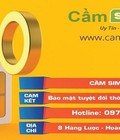 Hình ảnh: Ưu điểm và quy trình thực hiện dịch vụ cầm sim tại camsimvip