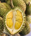 Hình ảnh: Chuyên thiết kế, thi công, lắp đặt kho sầu riêng tại daklak, tiền giang