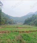 Hình ảnh: Chỉ 80.000/M2 Đất Đẹp Gần Khu CN Yên Quang