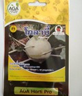 Hình ảnh: Hạt giống su hào chịu nhiệt nhập Thái Lan