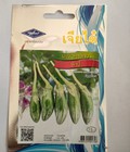 Hình ảnh: Hạt giống cà dừa Oval hàng nhập Thái Lan